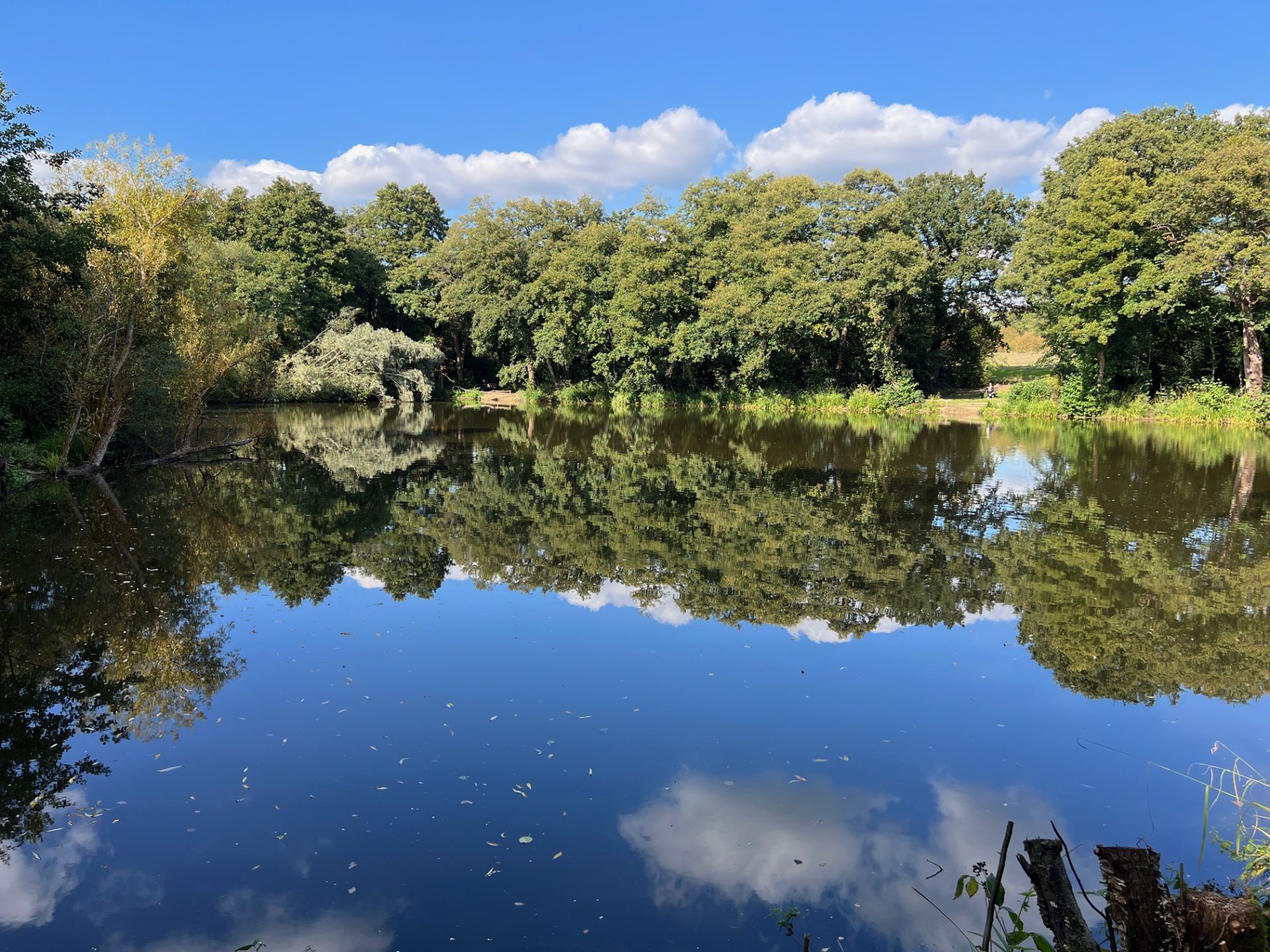 View across Darlands Lake